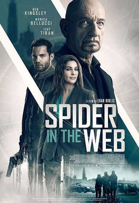 Spider in the Web (2019)