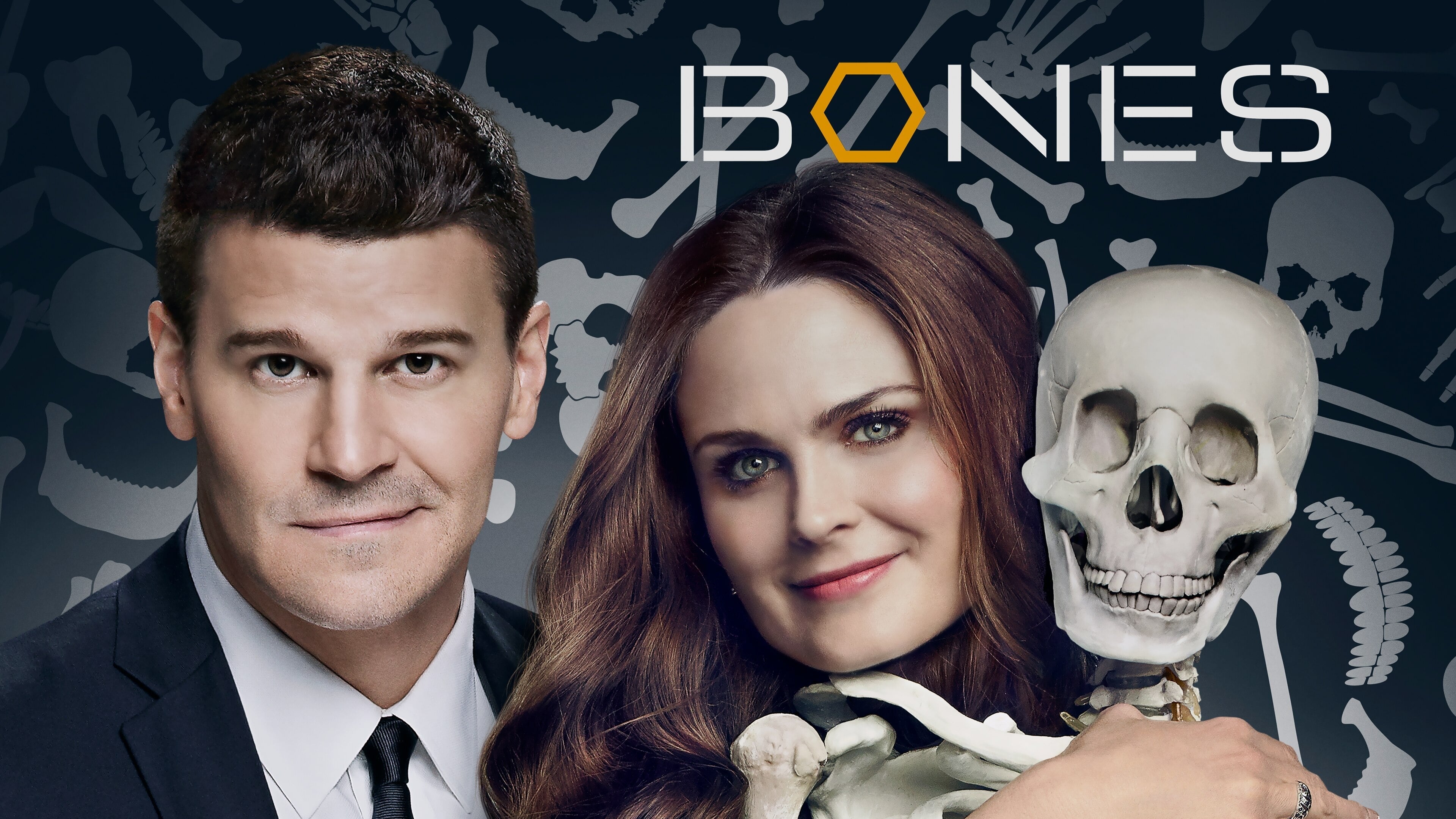 Bones Season 5 (2009) พลิกซากปมมรณะ ปี 5