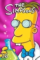 The Simpsons Season 16