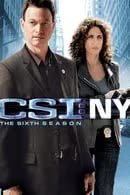 CSI New York Season 6 (2009)