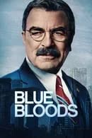Blue Bloods Season 14 (2024) บลูบลัดส์ สายเลือดผู้พิทักษ์ ตอน 6
