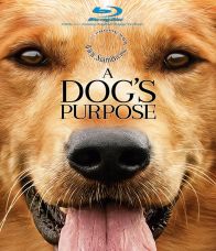 A Dog's Purpose (2017) หมา เป้าหมาย และเด็กชายของผม